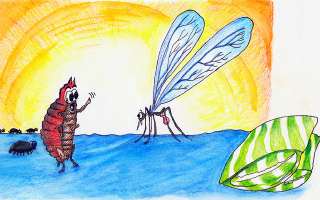 The Bed Bug and the Mosquito