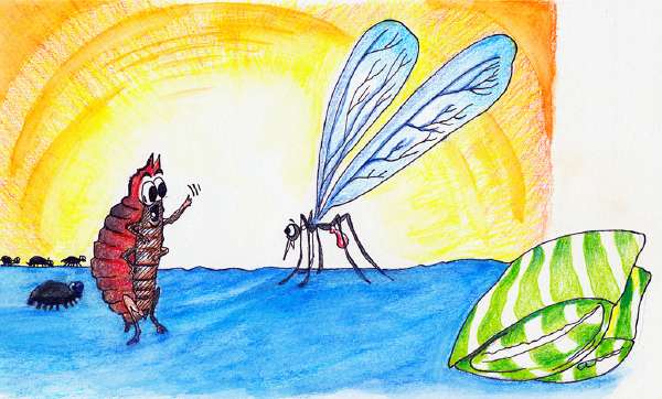 The Bed Bug and the Mosquito [Illustrations by Amarjeet Malik