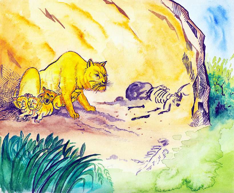 The Clever Lioness [Illustrations by Amarjeet Malik]