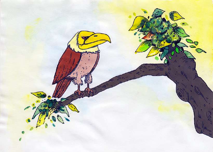 The Jungle Contest [Illustrations by Shiju George]