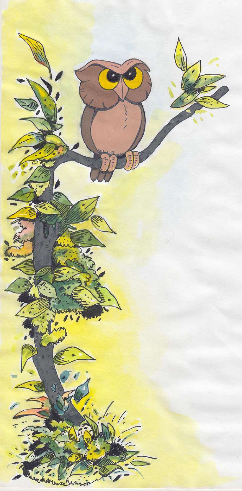 The Jungle Contest [Illustrations by Shiju George]