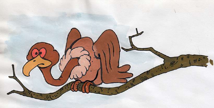 The Jungle Contest [Illustrations by Shiju George]