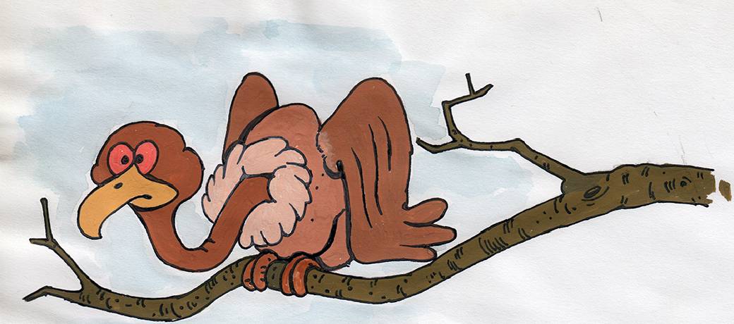 Illustration for The Jungle Contest