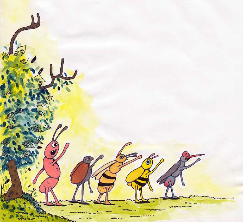 The Jungle Contest [Illustrations by Shiju George]