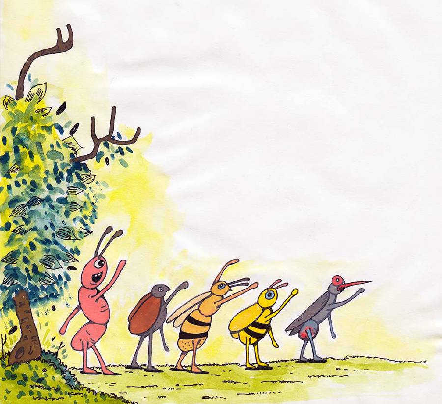 The Jungle Contest [Illustrations by Shiju George]
