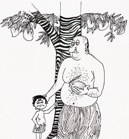 The Mango Charm [Illustrations by Amarjeet Malik]