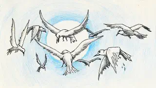 Illustration for The Wise Doves