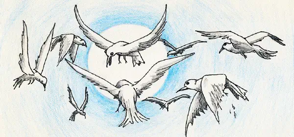 Illustration for The Wise Doves