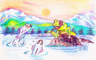 Two Fish and a Frog