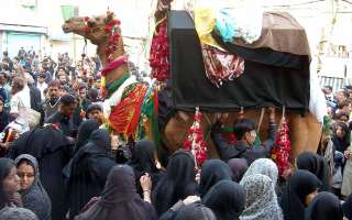 The Taziyas of Old Delhi