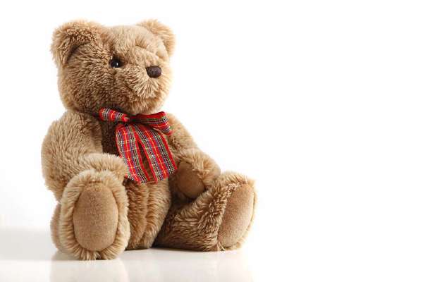 A teddy bear