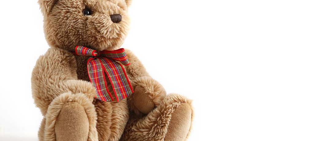 How did the Teddy Bear Get Its Name?