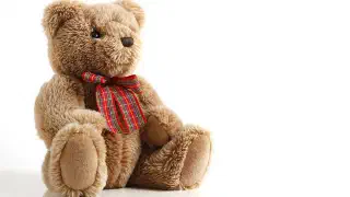 Illustration for How did the Teddy Bear Get Its Name?