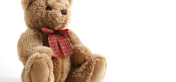 Illustration for How did the Teddy Bear Get Its Name?