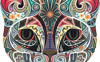 The Language of a Cat