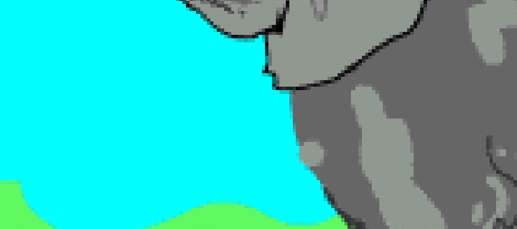 The Elephants who Showed Off