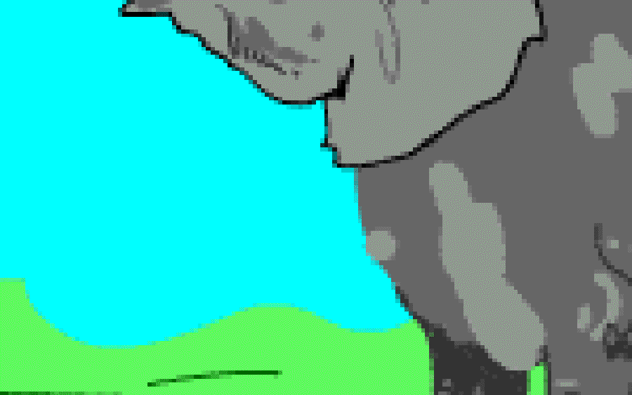 The Elephants who Showed Off