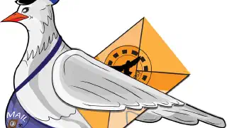 Illustration for Where does the Pigeon Post Operate?