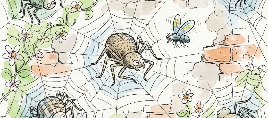 Illustration for The Spider on the Wall