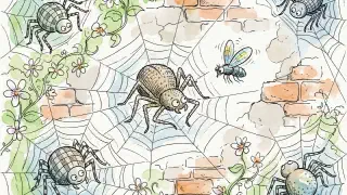Illustration for The Spider on the Wall