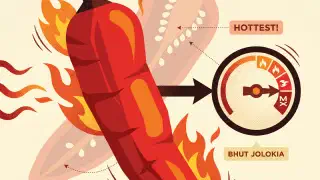 Illustration for The World's Hottest Chili