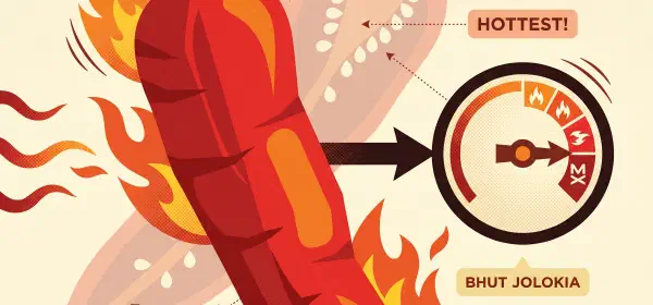 Illustration for The World's Hottest Chili