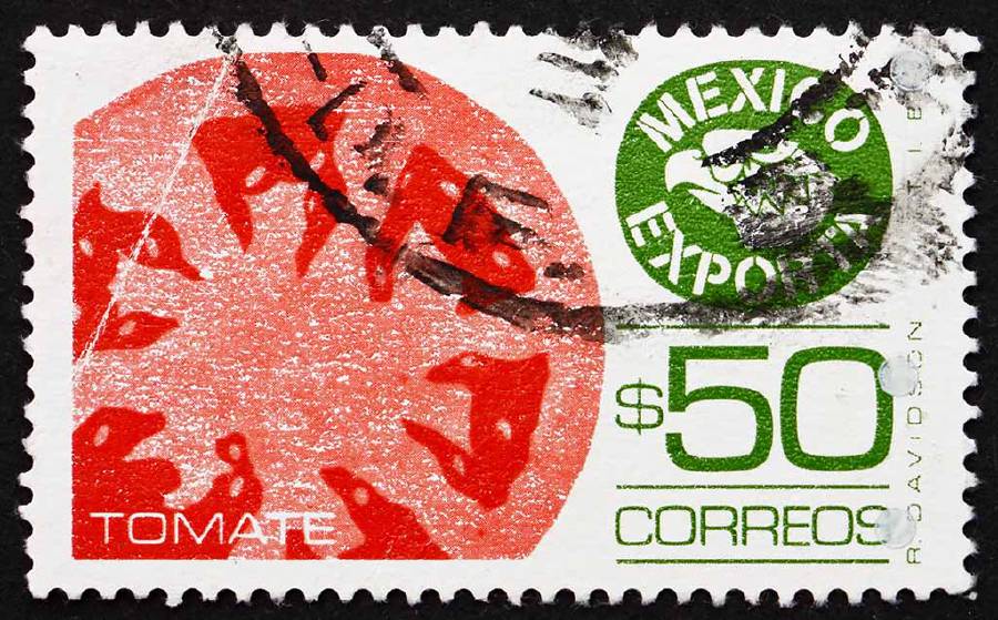 The tomato is originally from Mexico. The word 
