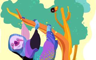 Does a Sloth Live its Entire Life Upside Down?