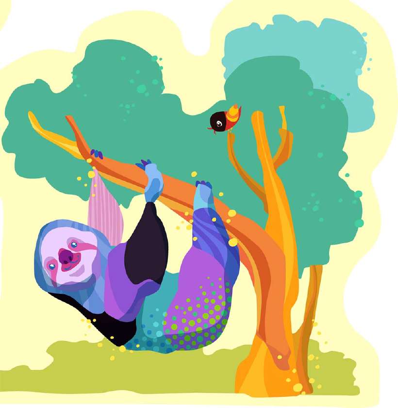 Does a Sloth live its entire life upside down?