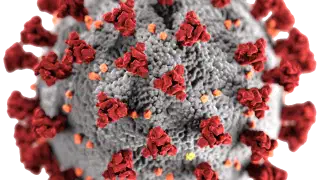 Illustration for What is a virus?