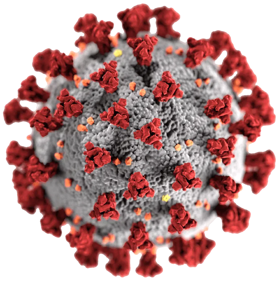 Severe acute respiratory syndrome coronavirus 2 (SARS-CoV-2) illustration, created at the Centers for Disease Control and Prevention (CDC)