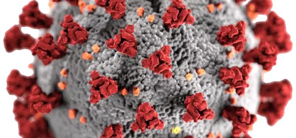 Illustration for What is a virus?