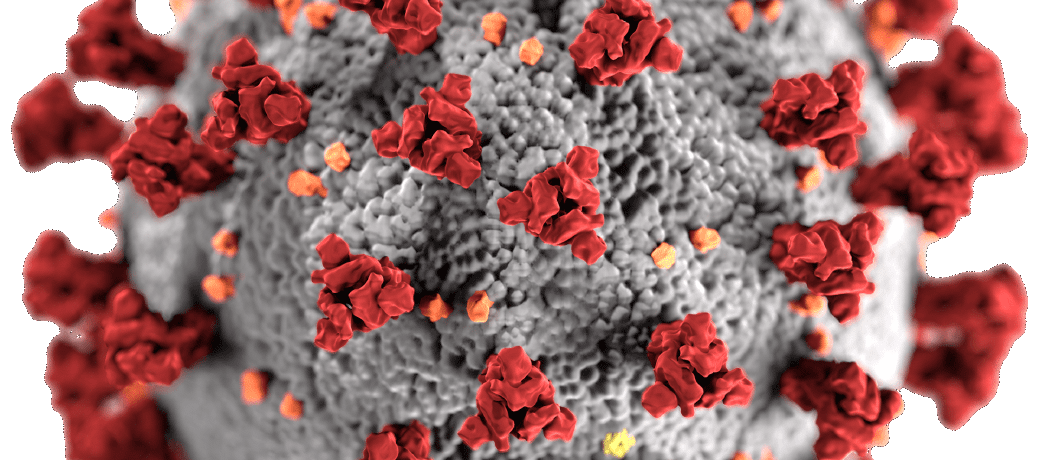 Illustration for What is a virus?