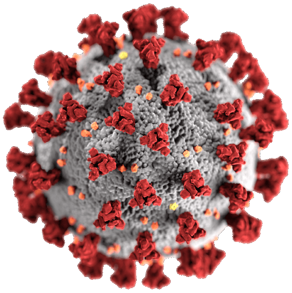 Severe acute respiratory syndrome coronavirus 2 (SARS-CoV-2) illustration, created at the Centers for Disease Control and Prevention (CDC)