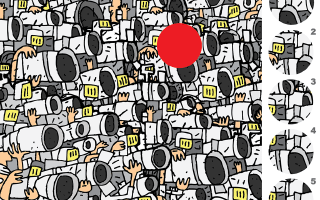 Cameras – A Visual Matching Puzzle