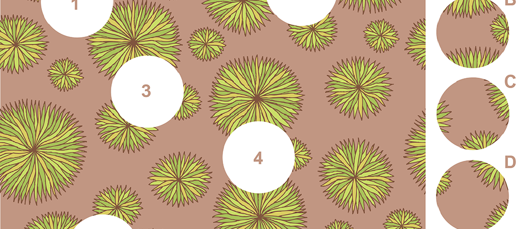 Illustration for Flowers – A Visual Matching Puzzle