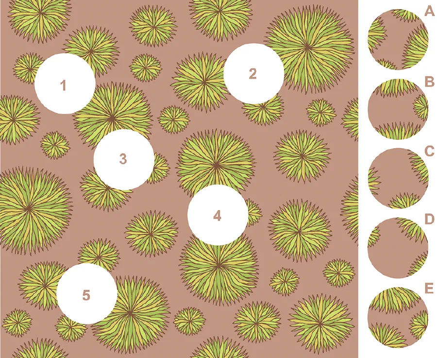 Illustration for Flowers – A Visual Matching Puzzle
