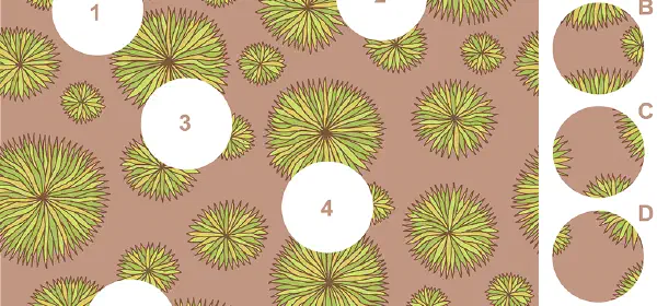 Illustration for Flowers – A Visual Matching Puzzle