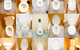 How do Flush Toilets Work?