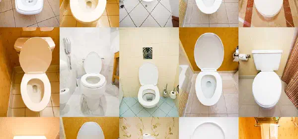 Illustration for How do Flush Toilets Work?