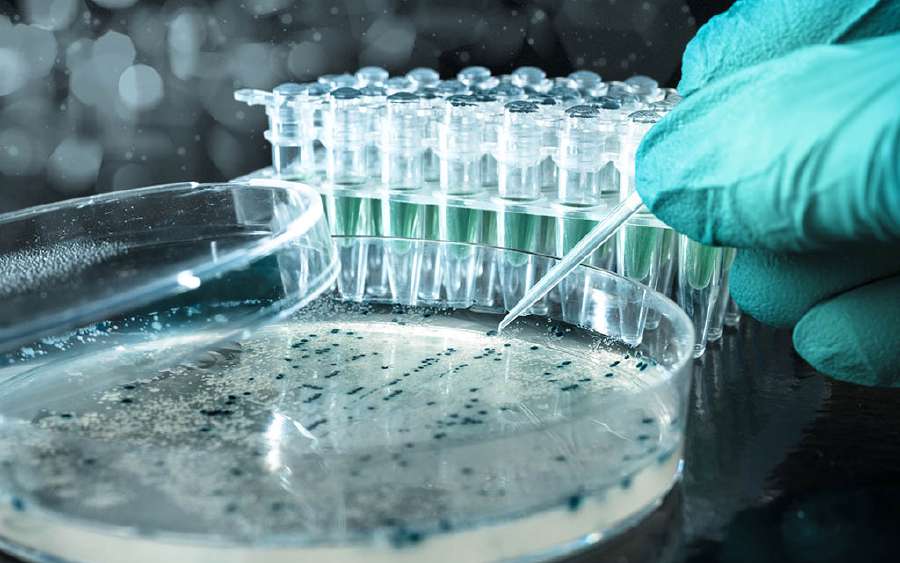 What is Cloning?