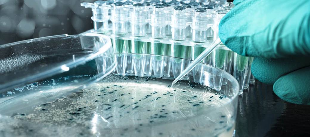 What is Cloning?