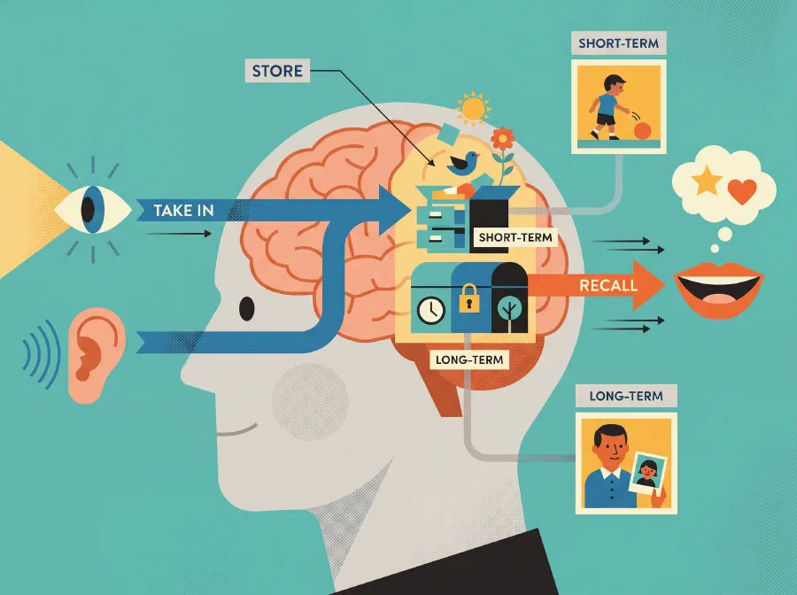What is Memory?