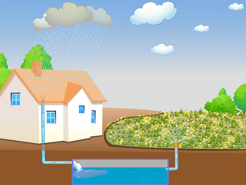 Components of Rainwater Harvesting System - Uses and Details