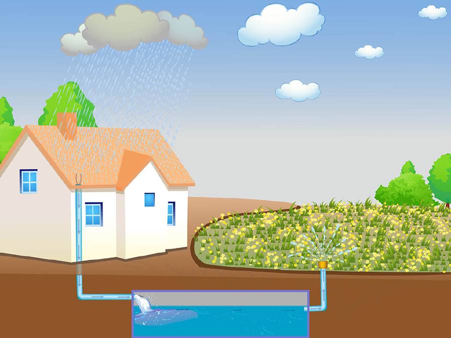 What is Water Harvesting?