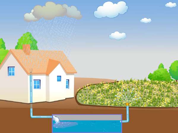What is Water Harvesting?