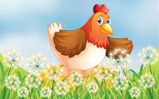 What Makes the Egg Shell so Strong?