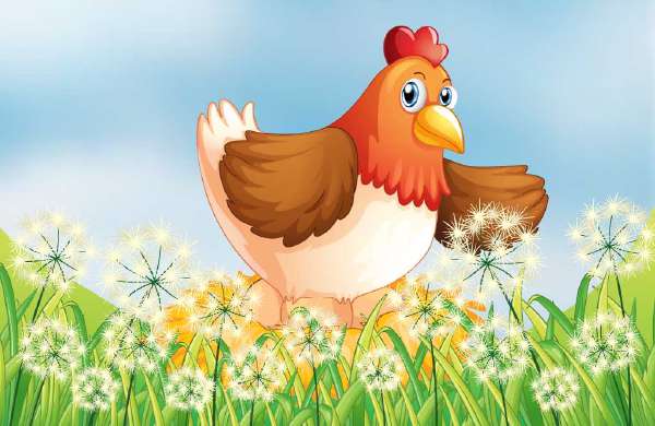What Makes the Egg Shell so Strong?