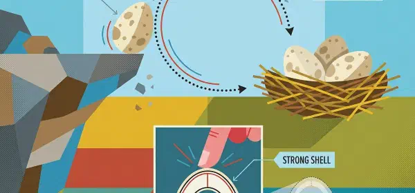Illustration for Why are Eggs Oval?