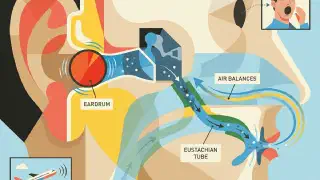 Illustration for Why do Ears Pop?